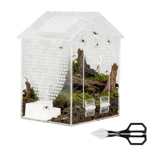 BestYiJo Jumping Spider Enclosure, 6 * 5 * 8" Lengthen Seamless Acrylic Terrarium with Feeder and Waterer – Ideal for Jumping Spiders, Praying Mantis, Scorpions, Hermit Crabs & Micro Reptiles