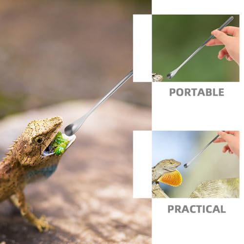 Housoutil 3pcs Lizard Feeding Spoons Handle Pet Food Tools for Bearded Dragon Reptiles Easy to Use Feeding Utensils - color: As Shown