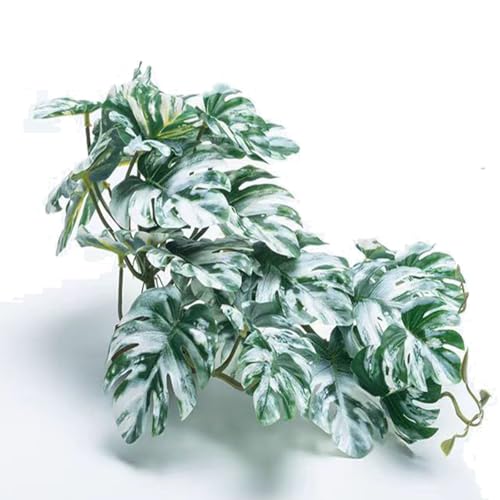 Reptile Fake Plants for Terrarium Artificial Tank Decor Accessories Suitable for Bearded Dragon Ball Python Crested Leopard Gecko Lizard Chameleon Snake-Monstera - color: Monstera
