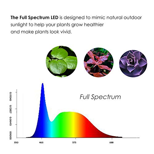 Full Spectrum LED Light with Bamboo Board, Fits Aquarium Nano Tank, Betta Fish Tank, Potted Plants, Succulents, Miniature Landscape – 9W - size: 9W
