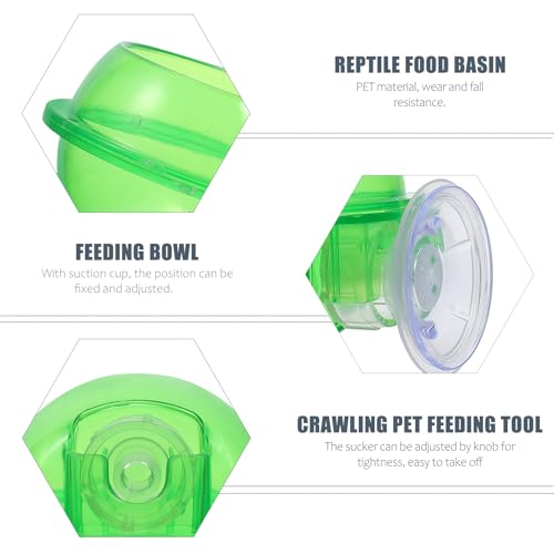 SUPVOX Reptile Food Bowl with Suction Cup, Anti-Escape Lizard Feeder Water Bowl, Practical Feeding Container for Geckos and Crawling Pets, 2pcs for Terrarium Use