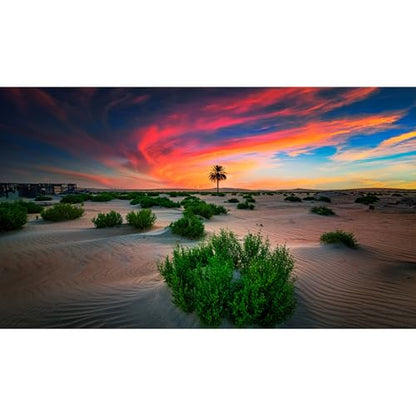 Sunrise Desert Reptile Tank Background Beautiful Sunset Desert Green Plants Terrarium Background Sand Peaks Dunes Desert Landscape Reptile Habitat Background Sunset Desert Aquarium Background 36x24in - size: 36(W)x24(H)inches/ 90(W)*60cm(H)