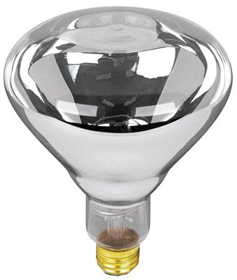 Feit Electric 250R40/1 250 Watt Clear Heat Lamp