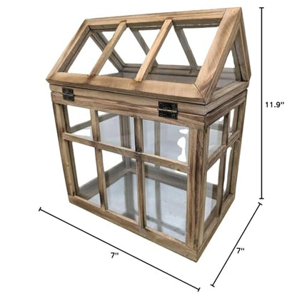 Orchid & Ivy Large Rustic Wood & Glass Plant Succulent Terrarium with Lid - 12" x 9.8" x 7" Decorative Farmhouse Tabletop Greenhouse Display for Air Plants, Dioramas, Fairy Gardens, Candle Lantern
