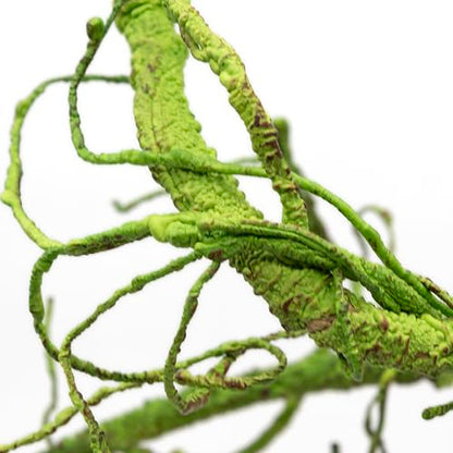 Pangea Reptile Ultimate Vine for Terrarium Habitat (Green) - color: Green