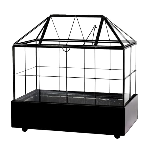 YIMORENCE V Large Tall Plant Terrarium Glass Greenhouse with Lid and Tray, Indoor Tabletop Orchid Succulent Cacti Kit 9.5'X9.8'X5.6'