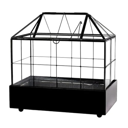 YIMORENCE V Large Tall Plant Terrarium Glass Greenhouse with Lid and Tray, Indoor Tabletop Orchid Succulent Cacti Kit 9.5'X9.8'X5.6'
