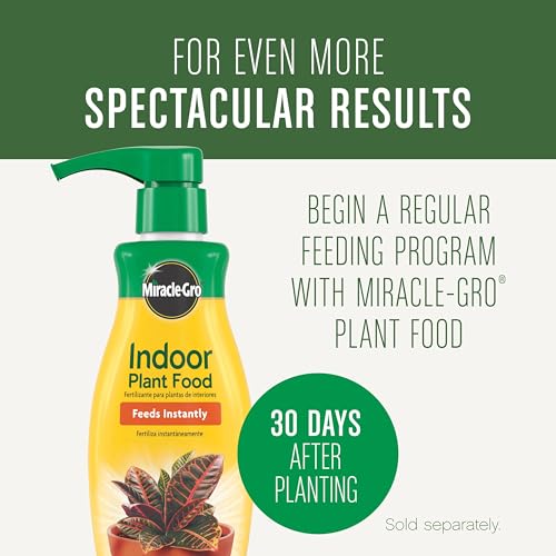 Miracle-Gro Houseplant Potting Mix - Fertilized Indoor Plant Soil for Containers, Designed to be Less Prone to Gnats, 4 qt. - size: 1 Pack, style: Houseplant