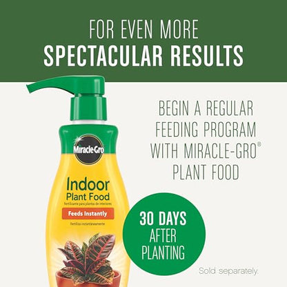 Miracle-Gro Houseplant Potting Mix - Fertilized Indoor Plant Soil for Containers, Designed to be Less Prone to Gnats, 4 qt. - size: 1 Pack, style: Houseplant