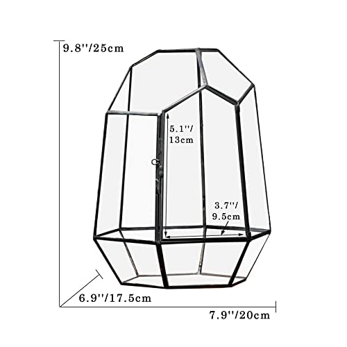 NCYP Close Geometric Glass Terrarium with Door - 9.8 inches Tall Irregular Planter for Succulents, Small Cacti, Modern Home Garden Tabletop Decor, Black, Handmade (Plants NOT Included) - size: 7.9x6.9x9.8inches