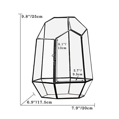 NCYP Close Geometric Glass Terrarium with Door - 9.8 inches Tall Irregular Planter for Succulents, Small Cacti, Modern Home Garden Tabletop Decor, Black, Handmade (Plants NOT Included) - size: 7.9x6.9x9.8inches