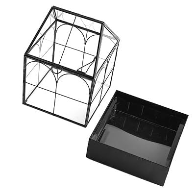 HighFree Glass Terrarium with Metal Tray, Glass Greenhouse Terrarium Kit for Succulents, Cacti, Snails, Spiders, and Miniature Reptiles, Black (Small-5.9" L x 5.9" W x 10.2" H) - size: Small-5.9"L x 5.9"W x 10.2"H
