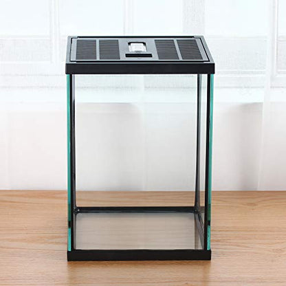 Vertical Glass Terrarium for Mantis, 7.8 x 7.8 x 10.8 in | 2.84 US Gal Glass Insect Habitat Kit for Tarantula Sling, Snail and Small Insects, Animals Not Included