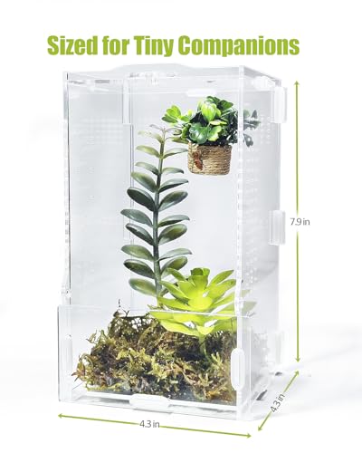 Jumping Spider Enclosure, Transparent Arboreal Tarantula Habitat, Praying Mantis Terrarium Critter Cage for Jumping Spider, Tarantula Slings, Mantis, Snail, Isopods, Beetles, Millipedes - size: Small