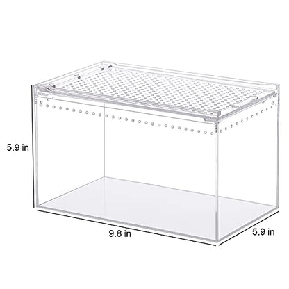 NANEEZOO Magnetic Acrylic Enclosure 10x6x6 Inch Tall Long Case Reptile Habitat Terrarium cage for Terrestrial Arboreal Tarantula Scorpion Sling Isopods Lizards Invertebrates Insect Mantis