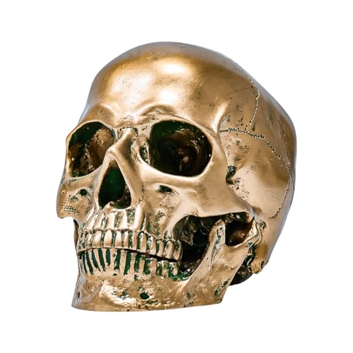 ECYC 1:1 Resin Human Skull Model Halloween Props Home Decorations High Fidelity Skull Head Sculpture Life Size, Bronze