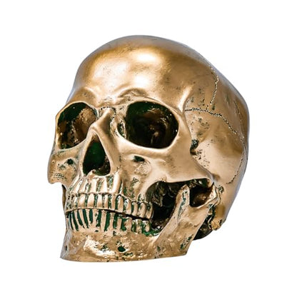 ECYC 1:1 Resin Human Skull Model Halloween Props Home Decorations High Fidelity Skull Head Sculpture Life Size, Bronze