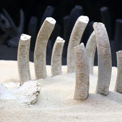 2pcs Dinosaur Bones Aquarium Decorations Fish Hideout Cave, Dinosaur Skull Bone Fish Tank Ornament for Terrarium Aquarium Decor