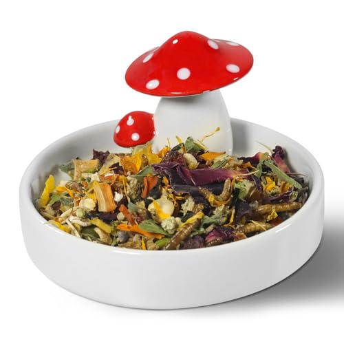 Niteangel Hamster Feeding & Water Bowls- Mushroom Ceramics Series Food Dish Feeding Bowls for Dwarf Syrian Hamsters Gerbils Mice Rats or Other Similar-Sized Small Pets (Feeding Bowl) - size: Feeding Bowl