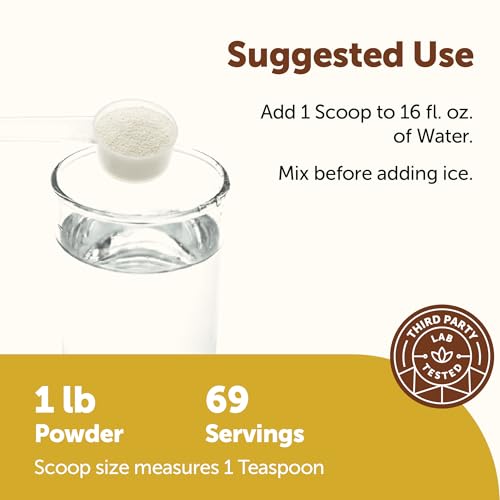 Micro Ingredients Electrolytes Powder, 1lbs(69 Servings) | Sugar Free | Lemon Raspberry Flavor | High Potassium (1,000mg) + Coconut Water & Real Lemon Juice | Keto Friendly, Non-GMO - size: 16 Ounce (Pack of 1)