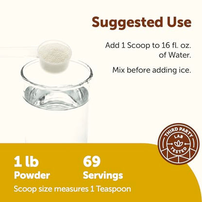 Micro Ingredients Electrolytes Powder, 1lbs(69 Servings) | Sugar Free | Lemon Raspberry Flavor | High Potassium (1,000mg) + Coconut Water & Real Lemon Juice | Keto Friendly, Non-GMO - size: 16 Ounce (Pack of 1)