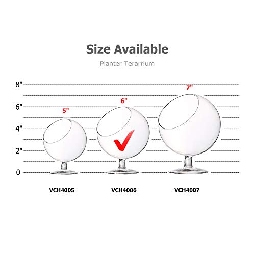 WGV Planter Terrarium with Stand, Ball Diameter 5" Height 6", Clear Glass Floral Container Vase, DIY Succulents Outdoor Garden Home Office Decor Slant Cut Orb, 1 Piece - size: 5"D