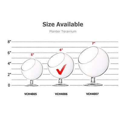 WGV Planter Terrarium with Stand, Ball Diameter 5" Height 6", Clear Glass Floral Container Vase, DIY Succulents Outdoor Garden Home Office Decor Slant Cut Orb, 1 Piece - size: 5"D