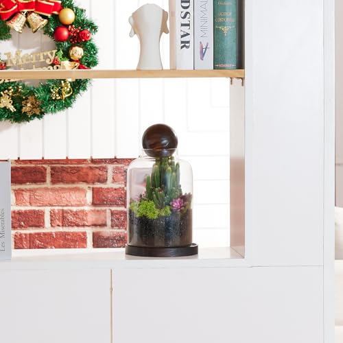 Yangbaga Large Glass Terrarium Succulent Plant Terrarium House for Plant/Moss Ball/Glass Fish Tank Table with Wood Base & Ball lid Office Home Decoration - size: H-9.8IN