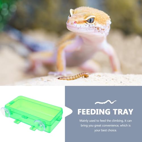 Uonlytech 2pcs Escape-Proof Reptile Feeders with Suction Cups, Small Green Lizard Feeding Bowls for Bearded Dragon, Gecko, and Other Reptiles, Reusable Pet Water and Food Dish for Terrarium