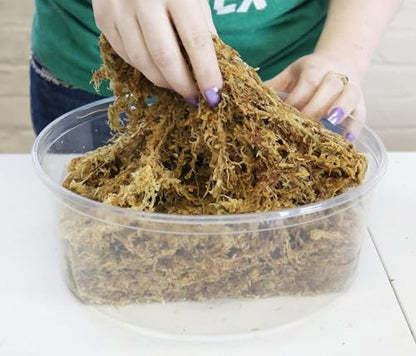 besgrow Premium New Zealand Sphagnum Moss, 100g (8L When Hydrated) - Harvested Sustainably from The Pristine West Coast of New Zealand's South Island - size: 100 Gram