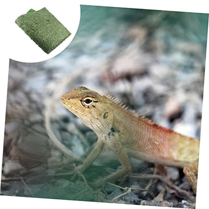 Kisangel 2pcs Moss Reptile Carpet Mat for Lizard and Tortoise Moisture Retaining Terrarium Substrate Non-Adhesive Simulation Carpet for Reptile Habitat