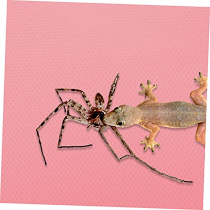 YARNOW 200m Reptile Carpet for Bearded Dragon Gecko Snake Turtle Easy Clean Non-Slip Mat for Terrarium Decor