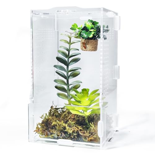 Jumping Spider Enclosure, Transparent Arboreal Tarantula Habitat, Praying Mantis Terrarium Critter Cage for Jumping Spider, Tarantula Slings, Mantis, Snail, Isopods, Beetles, Millipedes - size: Small