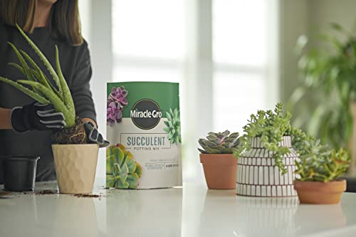 Miracle-Gro Succulent Potting Mix, 4 qt. (2-Pack) | Potting Soil Mix for Indoor Succulents, Aloe Vera and More, Made with Miracle-Gro Plant Food - size: 2 Pack, style: Succulent