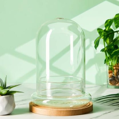 1 PC 5.9 x 7.9 Inch Glass Terrarium Dome Cloche with Air Hole & Glass Base, Clear Terrarium Containers Ventilated Plant Humidity Dome for Carnivorous Plants Orchids Tropical Cuttings, No Leakage - size: 5.9 x 7.9 Inch