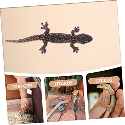 Yardwe Turtle Tank Background Reptile Carpet Snake Bedding Bearded Dragon Tank Mat Non-Slip Eva Liner Terrarium Supplies - color: Beige