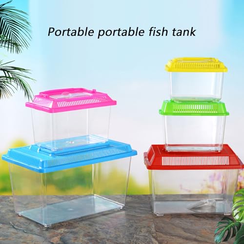 Plastic Terrarium, Critter Keeper, Plastic Fish Tank, Fish Transport Container, Critter Cage, Hermit Crab Cage with Removable Lid and Feeding Port Enclosure Ventilated Design - size: 13x9x9cm