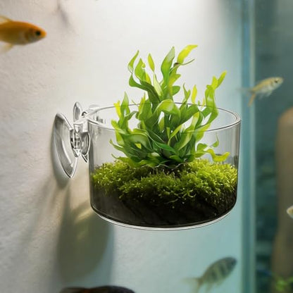 Clear Aquarium Plant Pot, Acrylic Suction Cup Holder, Aquatic Plant Container for Hydroponics, Terrarium Vivarium Pond Accessory, Holder with Design, Indoor Gardening Habitat - size: Large