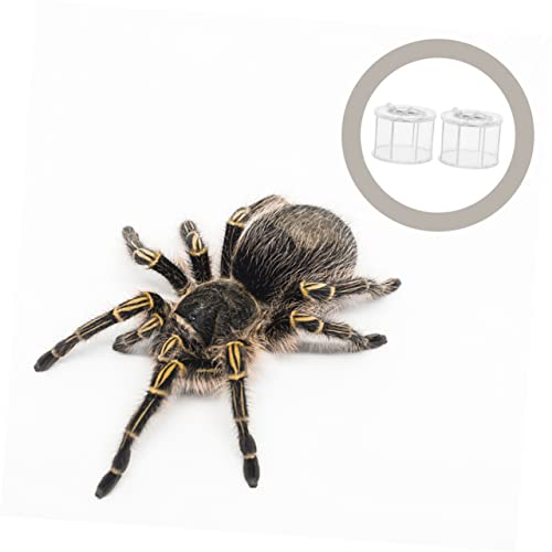 BESPORTBLE 2pcs Pet Display Box for Reptile Observation Reptile Breeding Container Ventilation for Animals Like Snakes Frogs and Turtles