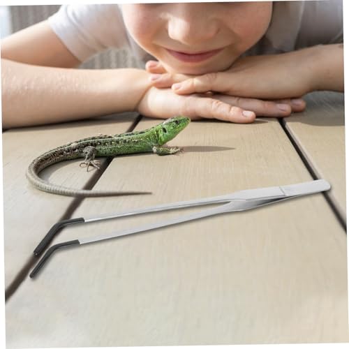 Artibetter 2Pcs Reptile Feeding Tongs with Rubber Tips Stainless Steel Tweezers for Snake Gecko Lightweight Aquarium Tools for Safe and Easy Pet Feeding