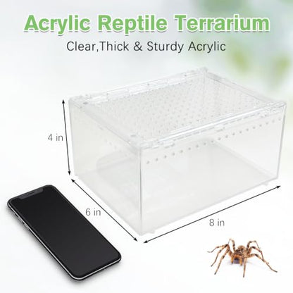 Reptile Terrarium Enclosure 8"x6"x4" Acrylic Tarantula Breeding Box Magnetic Hermit Crab Habitat Transparent Jumping Spider Cage for Insect Snail Amphibians Sling Isopods