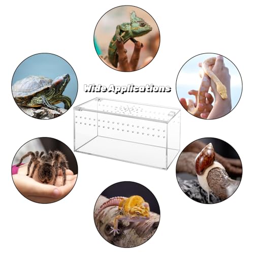 Tlence Acrylic Tarantula Enclosure Terrarium, 8" x 4" x 4" Small Magnetic Reptile Tank, Micro Spider Breeding Habitat Cage, Clear Ventilated Lizard Display Box for Hermit Crab Invertebrates Scorpion