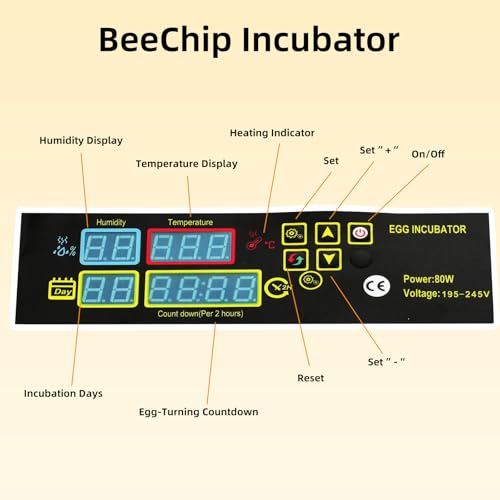 Egg Incubator for Hatching Eggs, 56 Egg Capacity with Automatic Egg Turner | Digital Humidity Control, Clear Temperature Display, Externa, 360° Clear Viewing for Poultry, Ducks, Quail
