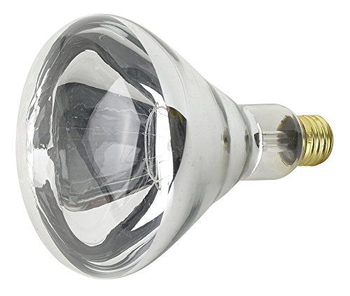 Feit Electric 250R40/1 250 Watt Clear Heat Lamp