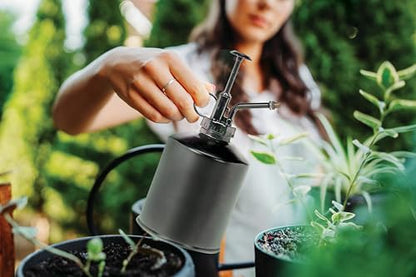 Abbott Collection Plant Mister - Black | Pump-Action, For Houseplants & Herbs, Galvanized Steel/Plastic, 22oz, 8"H