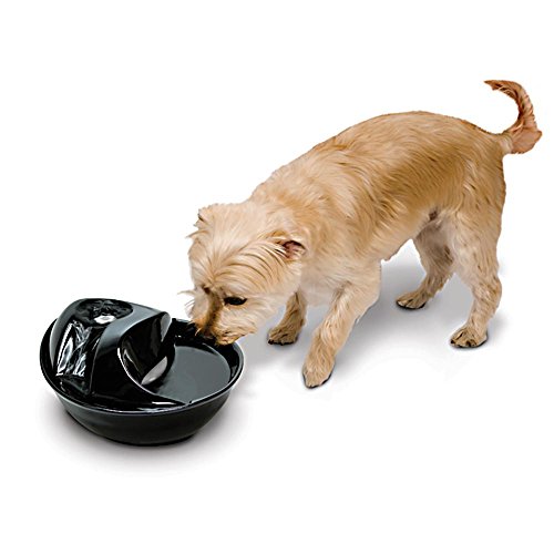 Pioneer Pet Raindrop Fountain, Pet Drinking Fountains (60 oz., Black Ceramic) - color: Black Ceramic