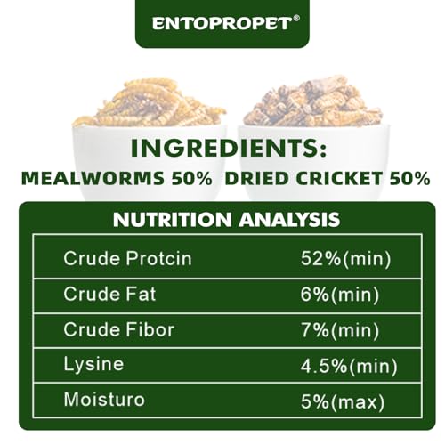 Dried Mealworms and Dried Crickets 3oz - Higher in Calcium and Richer in Protein-A Premium Medley Treat Food for Bearded Dragons,Turtle, Birds & Tropical Fish - size: 3 Ounce (Pack of 1)