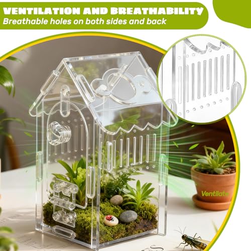 Jumping Spider Enclosure Acrylic Spider Cage Insect Terrarium Bug Enclosure Tarantula Enclosure Reptile Terrarium for Snail, Mantis, Lizard, and Small Reptiles - Small House Shape