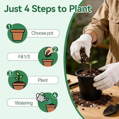 ZeeDix 1QT Tropical Potting Mix for Plants | Perlite Coco Coir Vermiculite Peat Moss, Balanced Aeration Drainage & Moisture Retention, Beginner Friendly - color: Potting Soil Mix, size: 1 qt