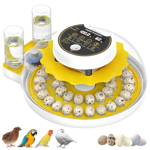 Quail Egg Incubator for Hatching Eggs with Automatic Egg Turning and Humidity Control, 40 Quail Eggs Capacity Brooder Poultry Incubators, Also for Partridge, Parrot, Pigeon, and Other Types of Bird - color: Yellow